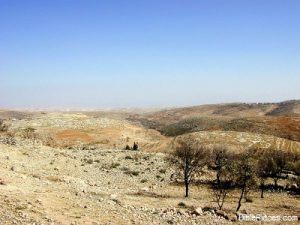  Within a days walk from John’s place of birth, Juttah, Osseaen Essene communes prospered. He was raised in the wilderness areas south and east of Hebron (right), where a strong Essene influence prevailed.
